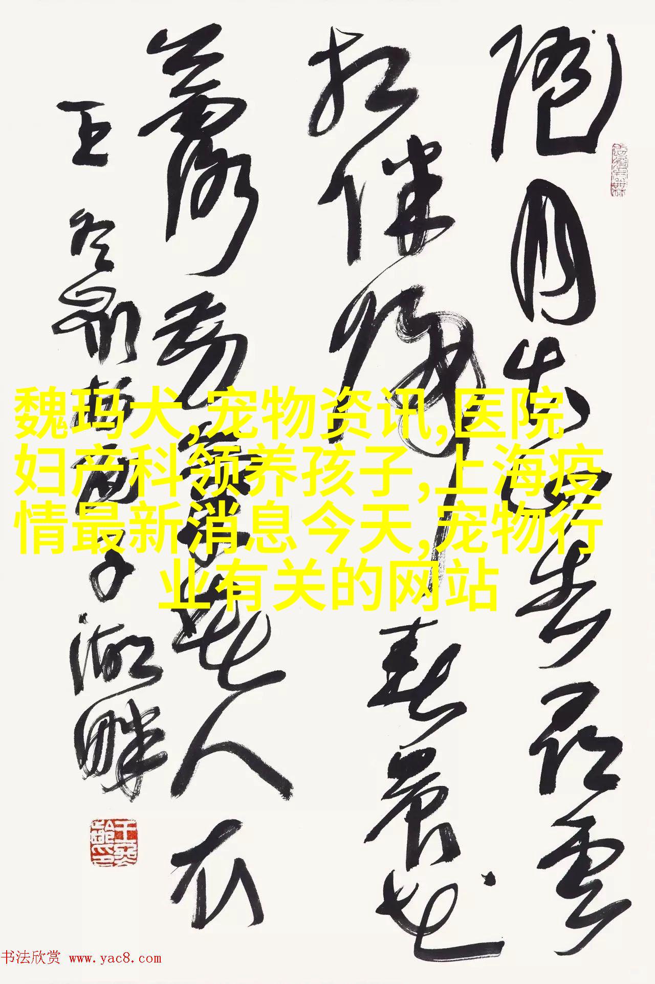 法国斗牛梗