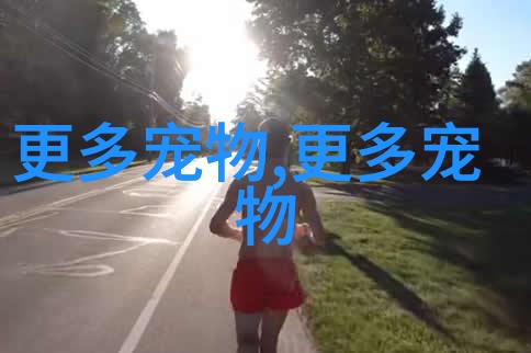 色彩缤纷