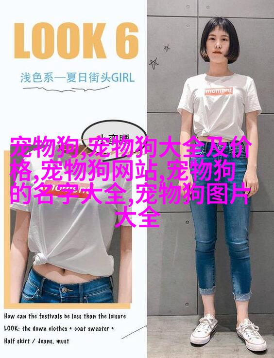 金毛寻回