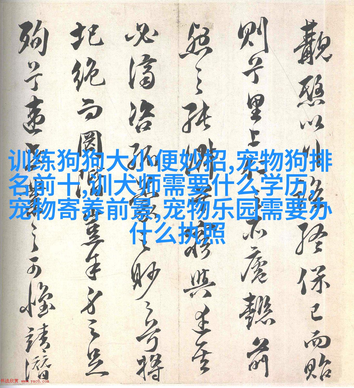 给鸟笼消毒有什么好的妙招吗？