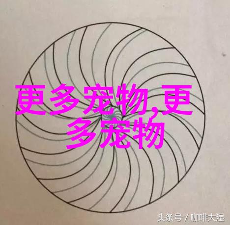 小黑面包