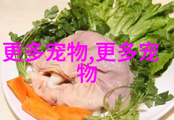 图3: 日本狩猎dog在户外追逐球