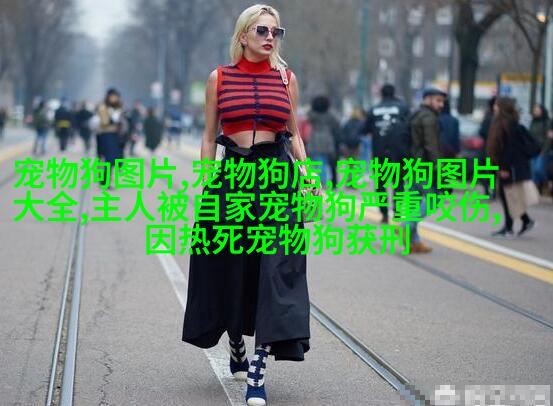 阿拉斯加雪橇 犬