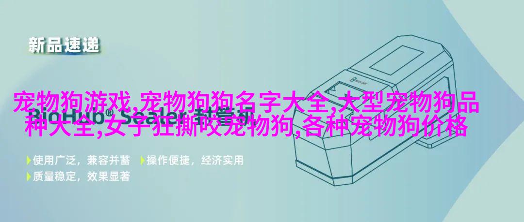 西藏熊cat