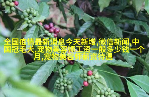 金毛寻回犬