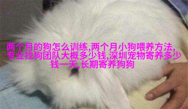 德国狼獾