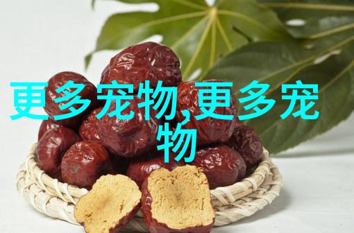 户外探险