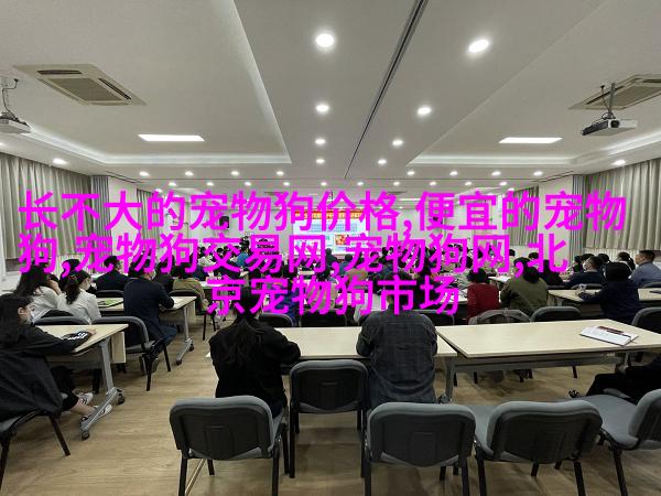 小型柴顿
