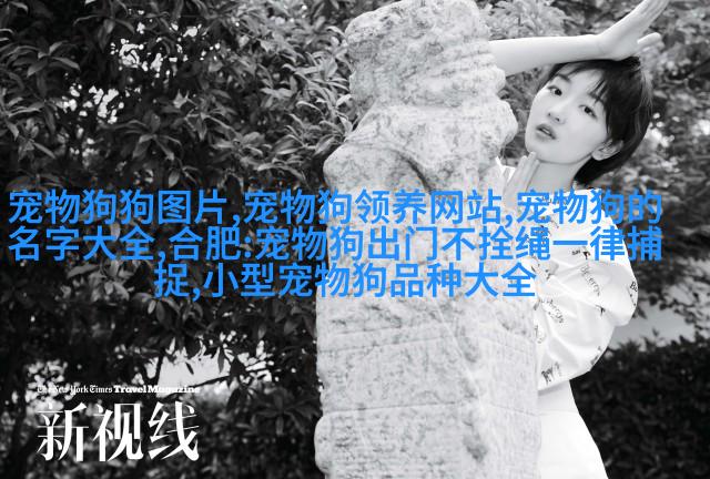 德国牧羊犬