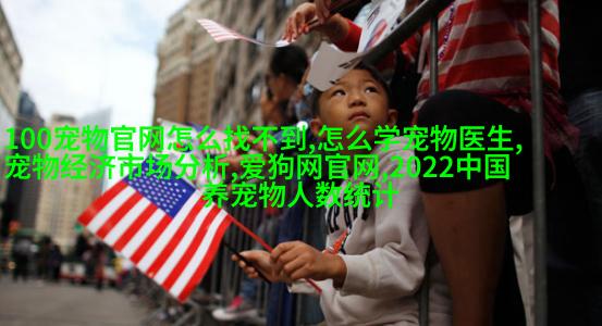 罗摩尼·鲁菲斯, 图8