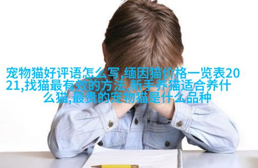 小巧精灵