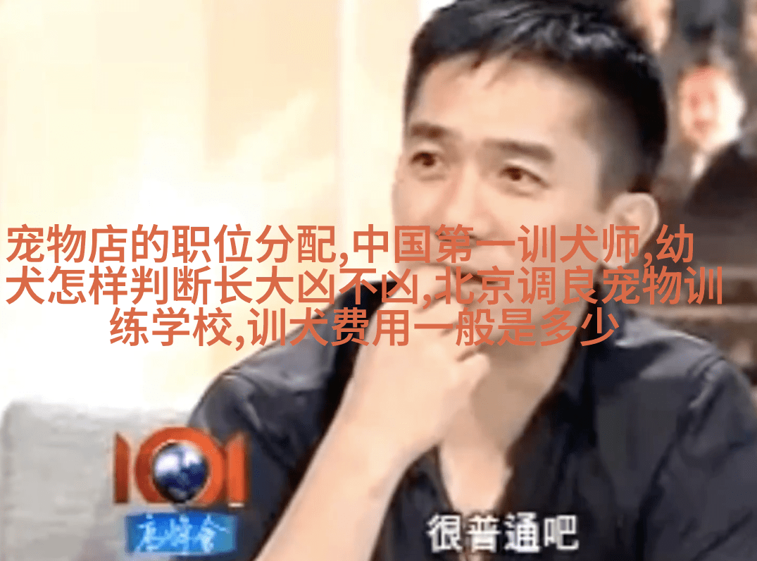 猫咪总是五点多起来吵我，宠物早上起太早吵人怎么办？