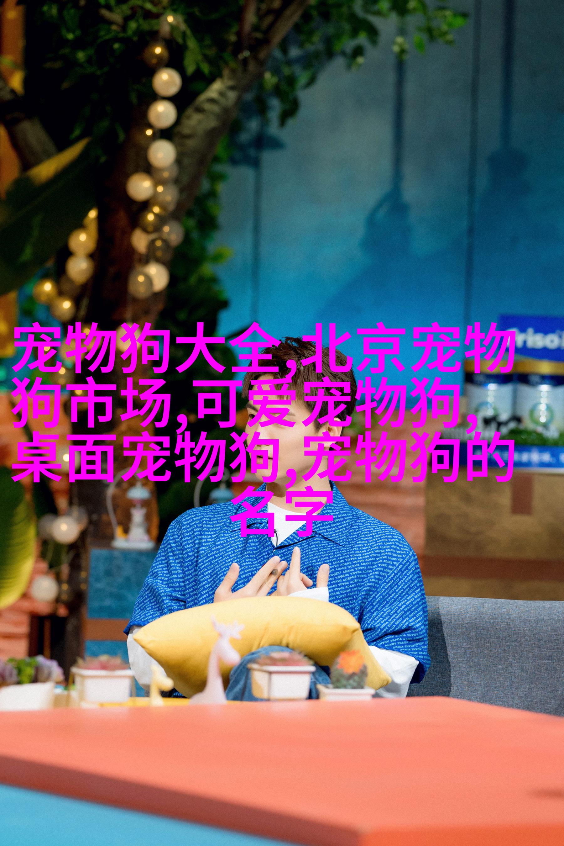 爱斯基摩Dog