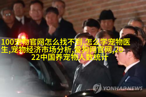 图6: 苏格兰折耳猫