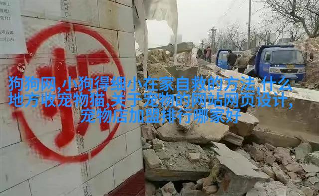 哈士奇