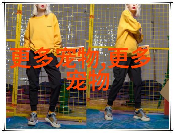 曼彻斯特短毛