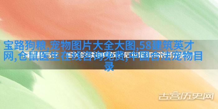 松狮犬