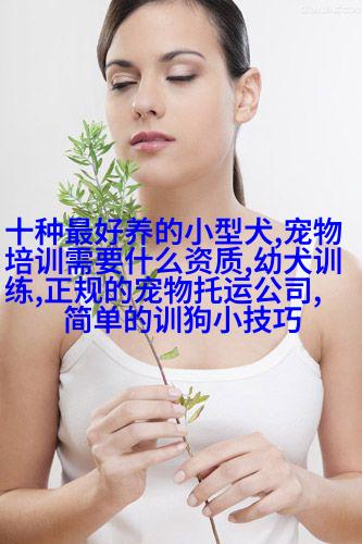 图像描述