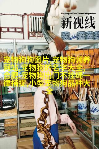 哈士奇