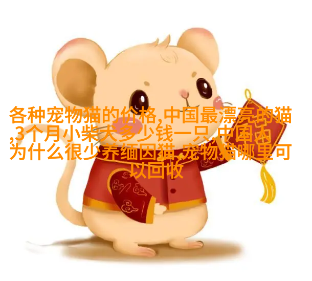 退行性痴呆病猎狐狗