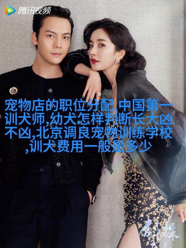 猫咪总是五点多起来吵我，宠物早上起太早吵人怎么办？