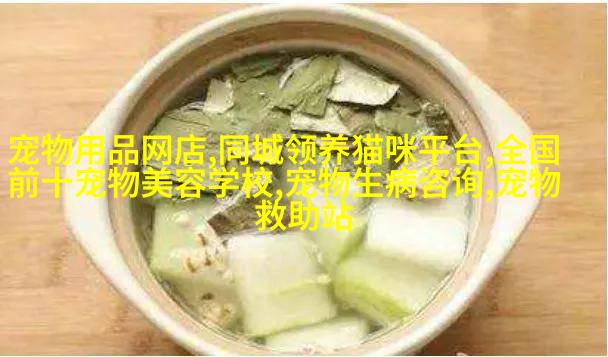 一般混养龙鱼有哪些技巧适合与龙鱼混养的鱼