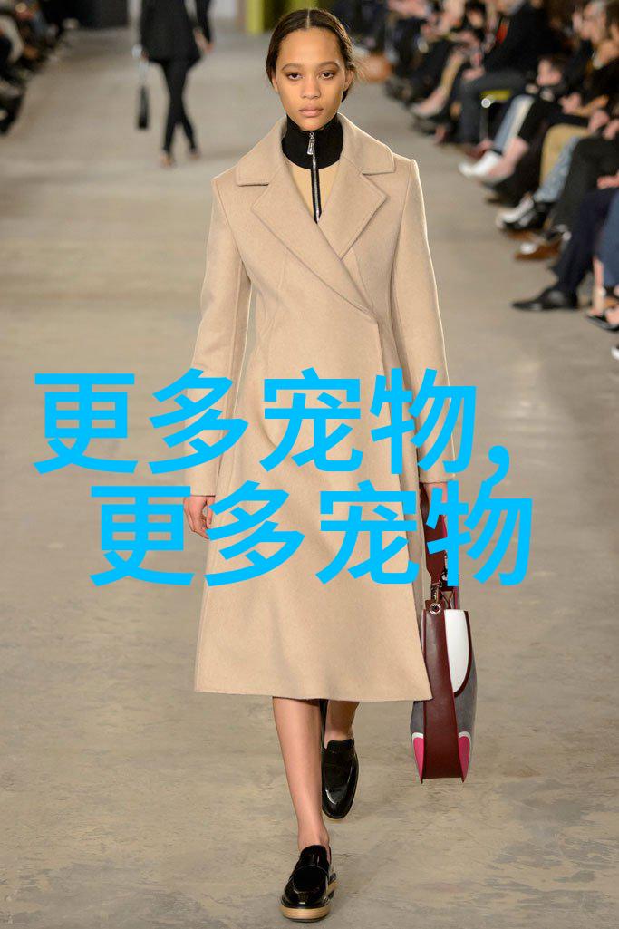 卡通波斯貓