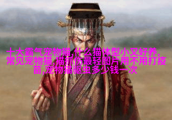 缅因州
