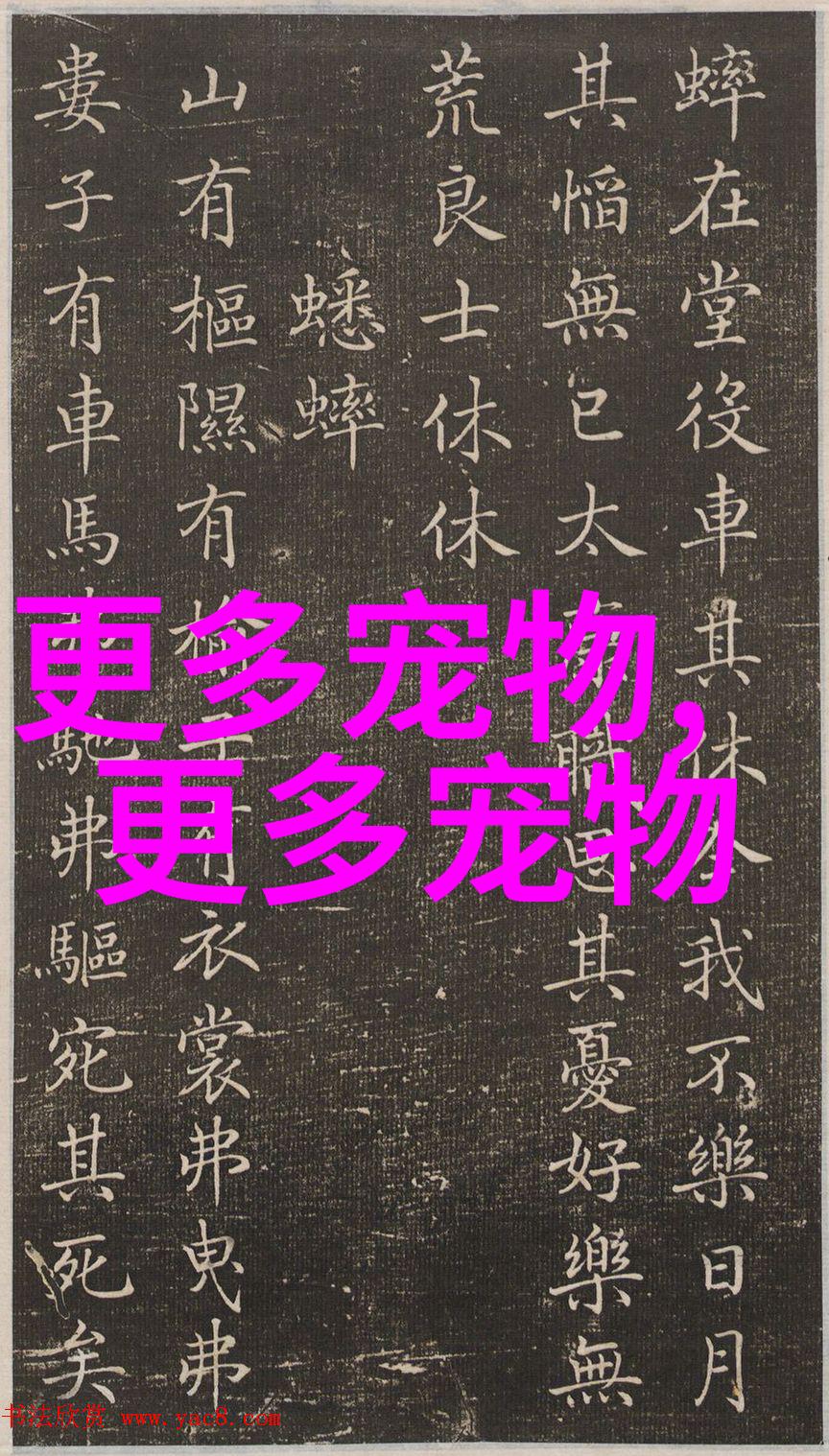 萨摩耶德