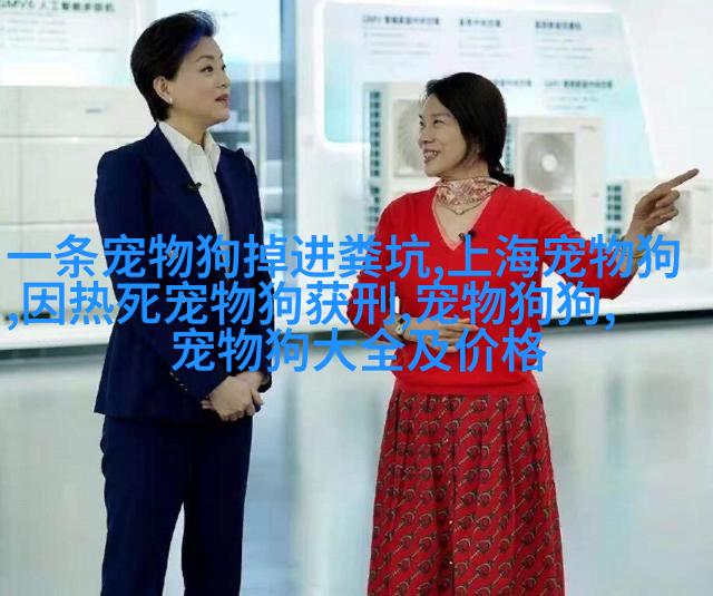 办公室里的宠物