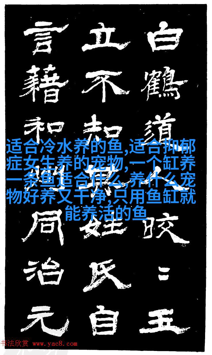 可爱斯基