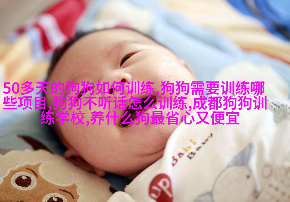 图例