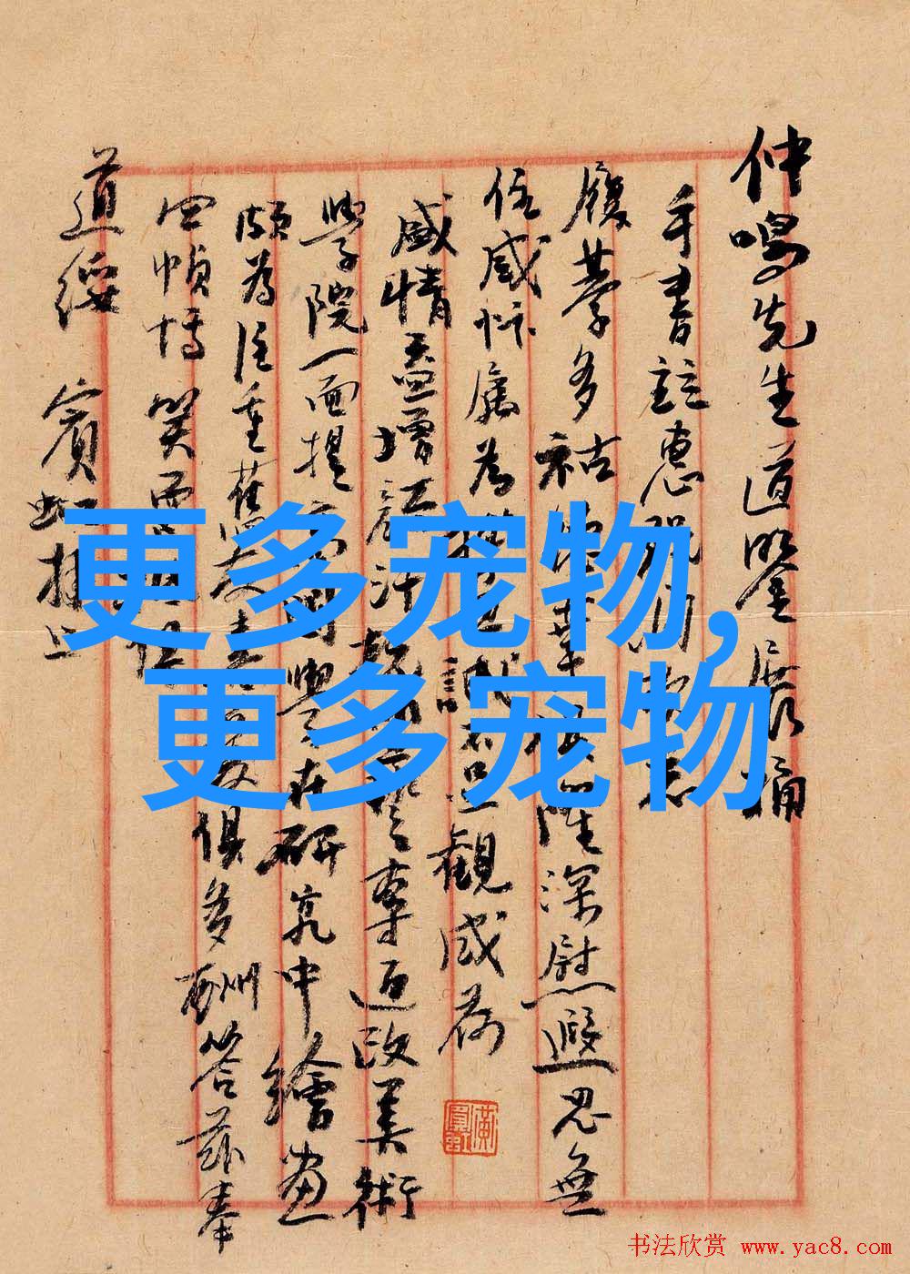 什么大型热带鱼好养