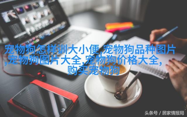 西伯利亚白虎