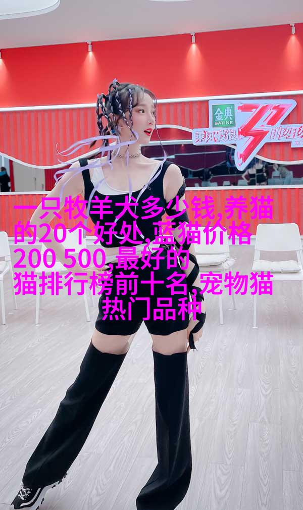 哈士基