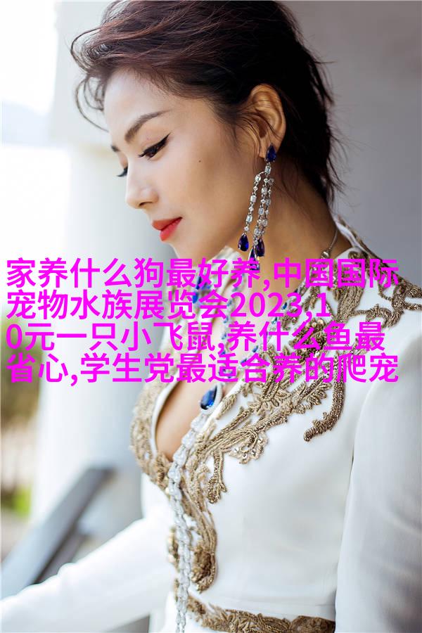 专业照相技巧示例图像2