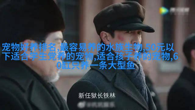 欧洲短毛