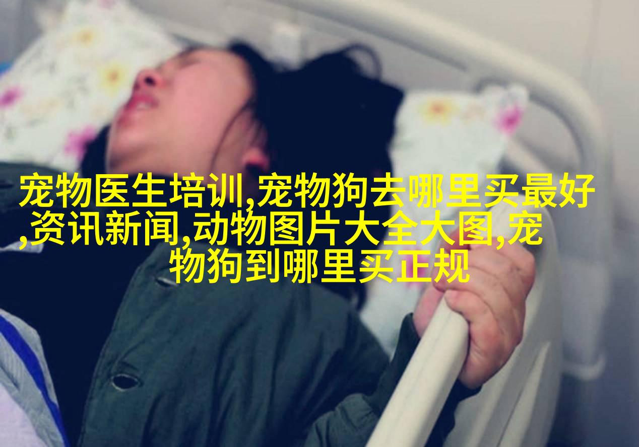 雪纳瑞