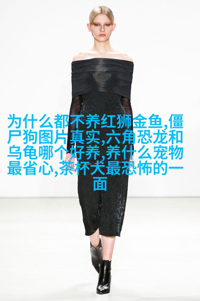 斑马斑长毛柯基