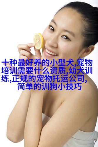 图像描述