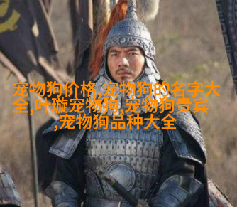 图3: 边境牧羊dog