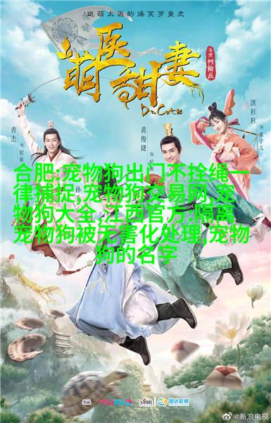 跳跃之星