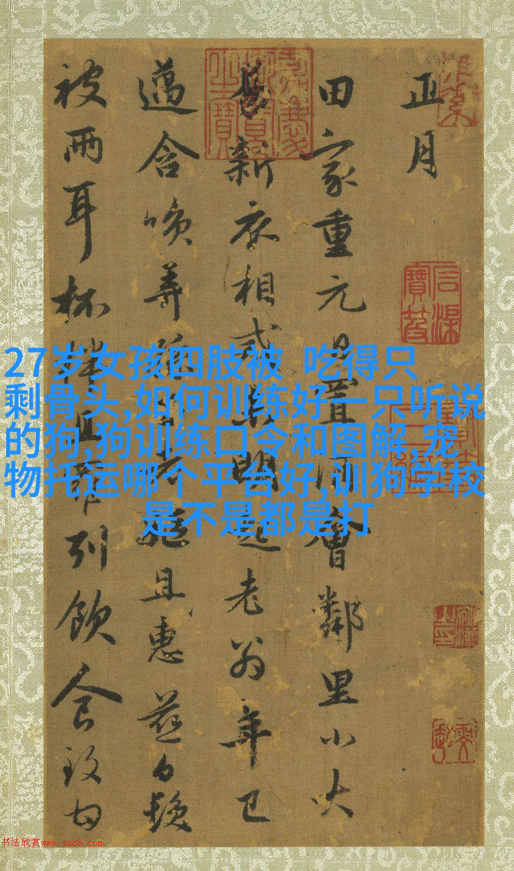 法国斗牛梗