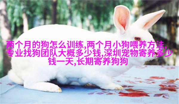 萨摩耶德