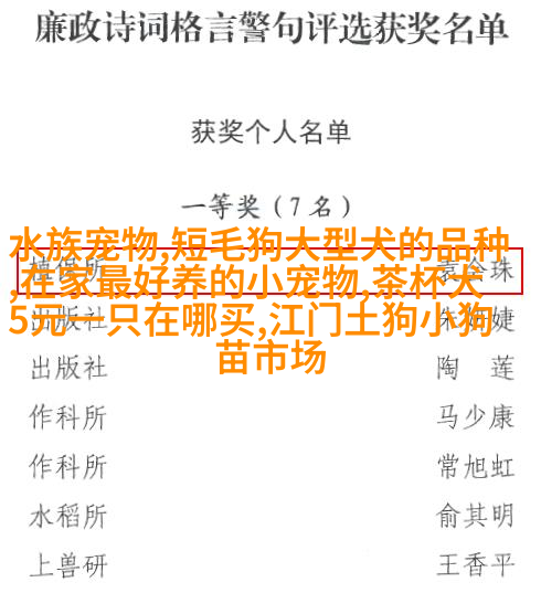 抓鱼时刻