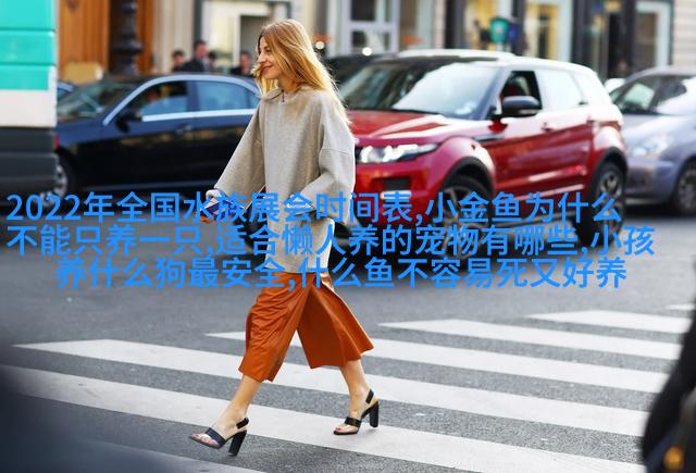 金毛寻回犬