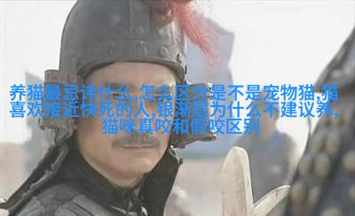 曼彻斯特短毛