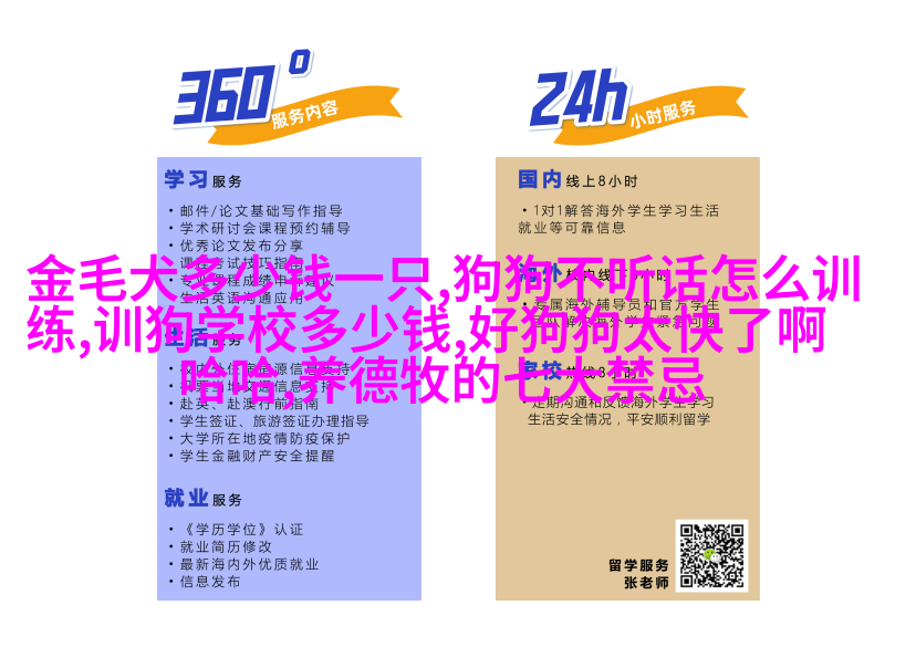 缤纷金色皮革宝石