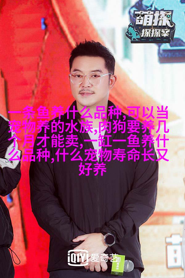 马尔济斯