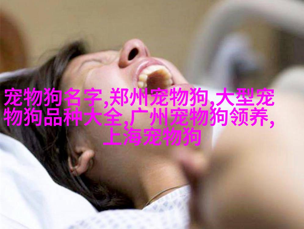 图4: 一个正在玩耍中的成年人及其家里的两个 Cavaliers
